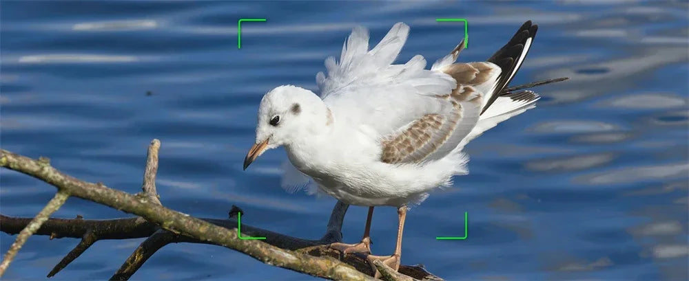 4K Digital Camera 64MP Auto Focus Lens Photography YouTube Ins Vlog Camcorder 4.0"Touch Screen 16X Zoom Optical Video Camera