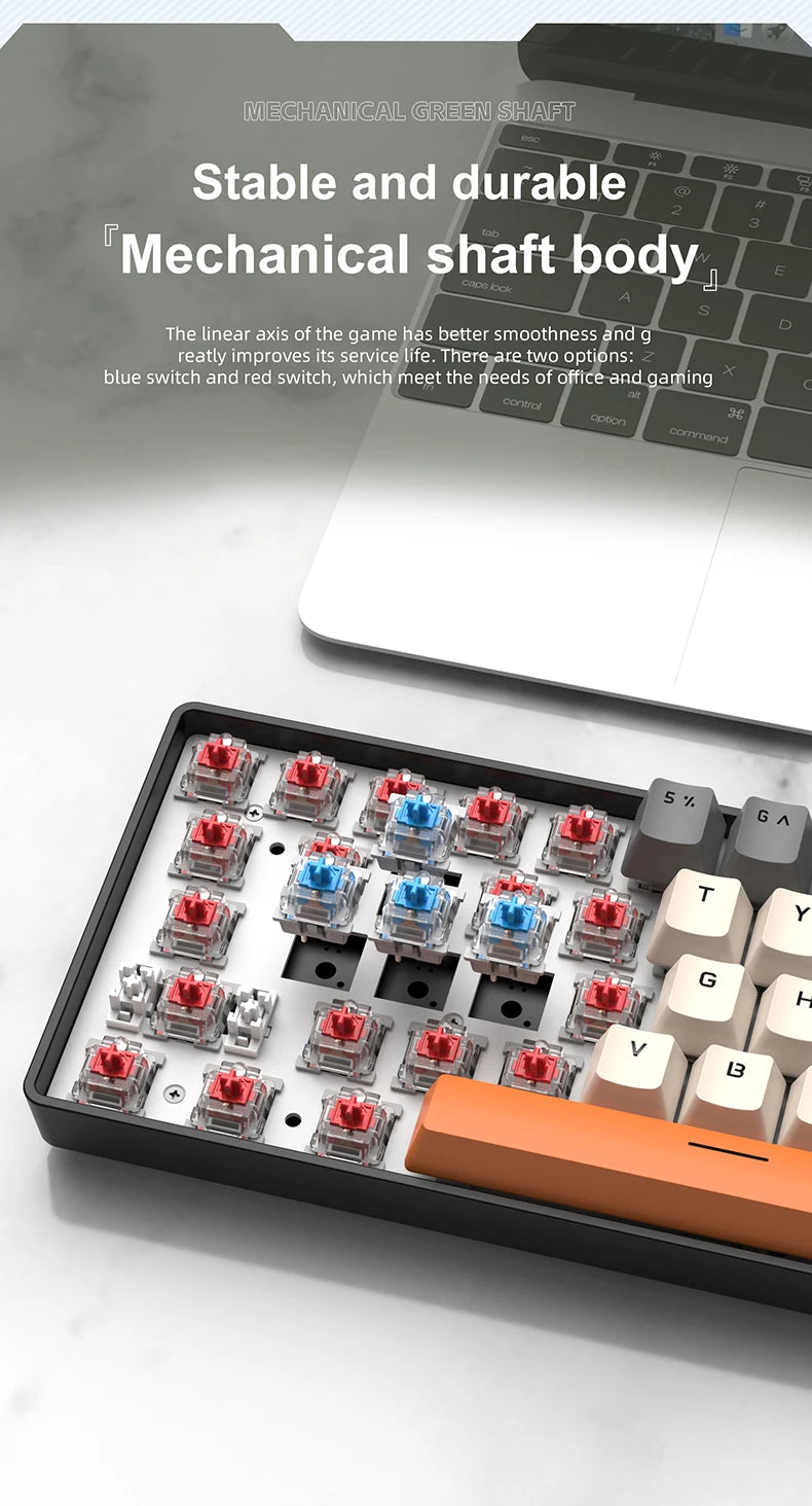 61 Keys Mechanical Keyboard Wired,APAYADO K61 RGB 60% Portable Mini Keyboard Black,White, Red/Blue Switch for Gaming